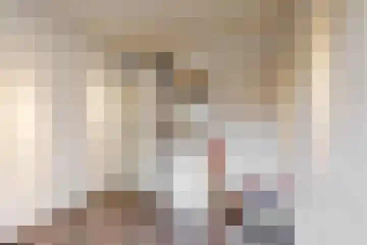 Leeuwerik 10 Castricum thumbnail 23