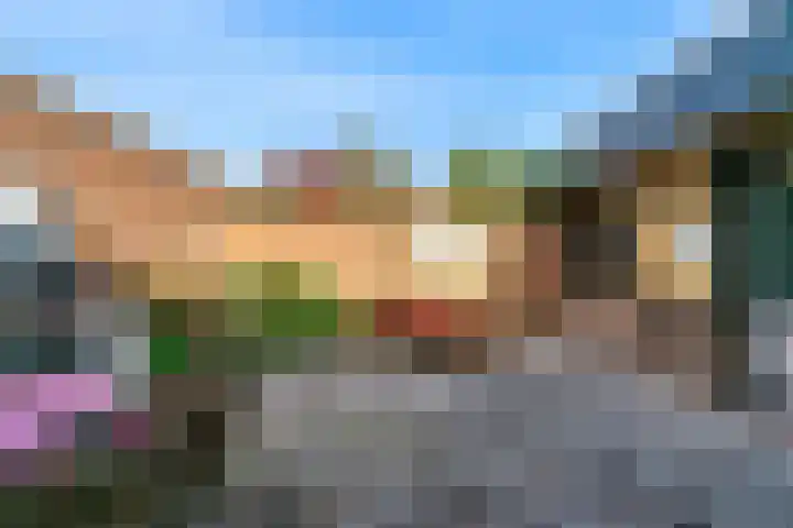 Leeuwerik 10 Castricum thumbnail 32