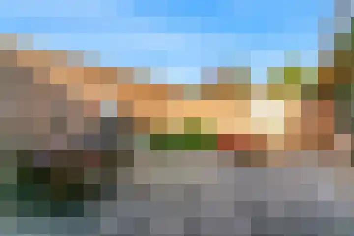 Leeuwerik 10 Castricum thumbnail 33