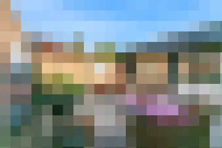 Leeuwerik 10 Castricum thumbnail 34