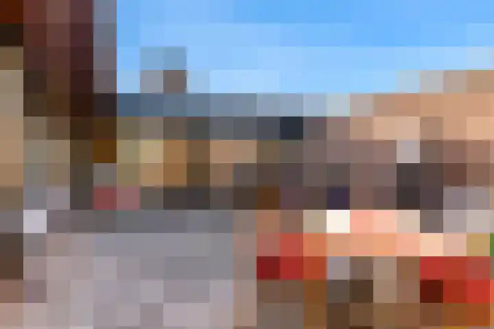 Leeuwerik 10 Castricum thumbnail 36