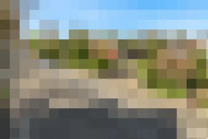 Leeuwerik 10 Castricum thumbnail 37