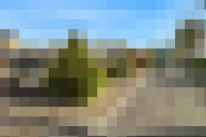 Leeuwerik 10 Castricum thumbnail 38
