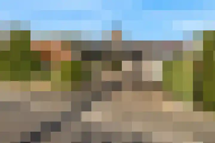 Leeuwerik 10 Castricum thumbnail 39