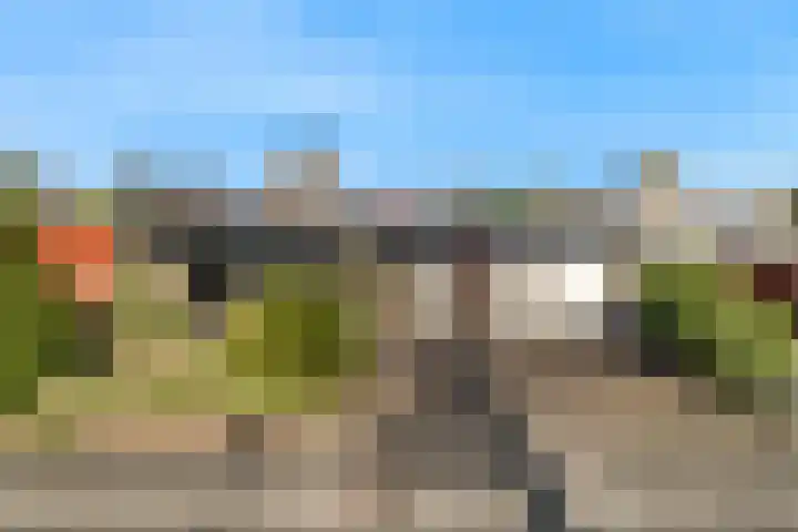 Leeuwerik 10 Castricum thumbnail 40