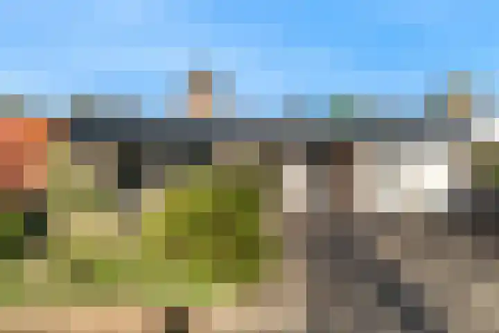 Leeuwerik 10 Castricum thumbnail 41