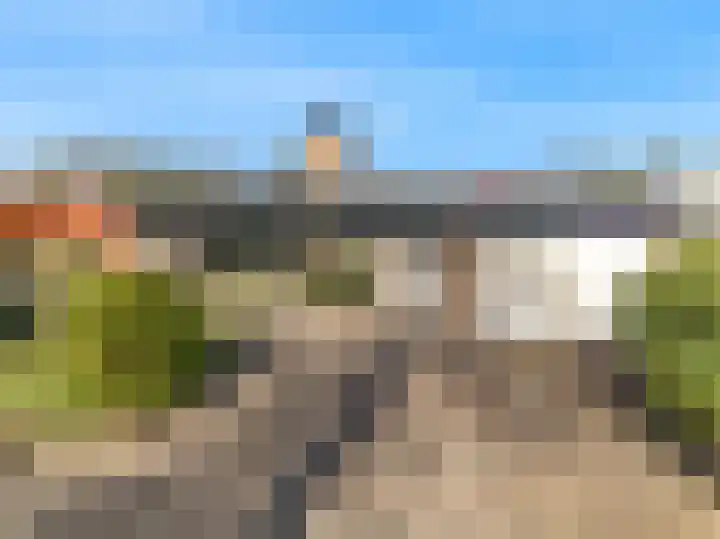 Leeuwerik 10 Castricum thumbnail 44