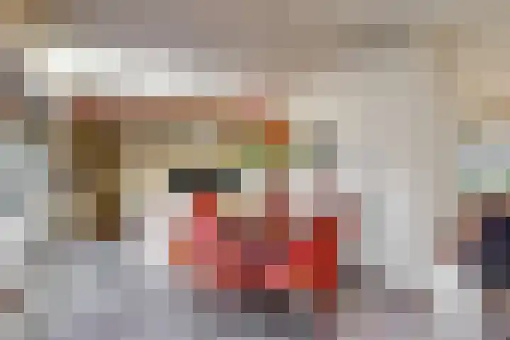 Leeuwerik 10 Castricum thumbnail 9