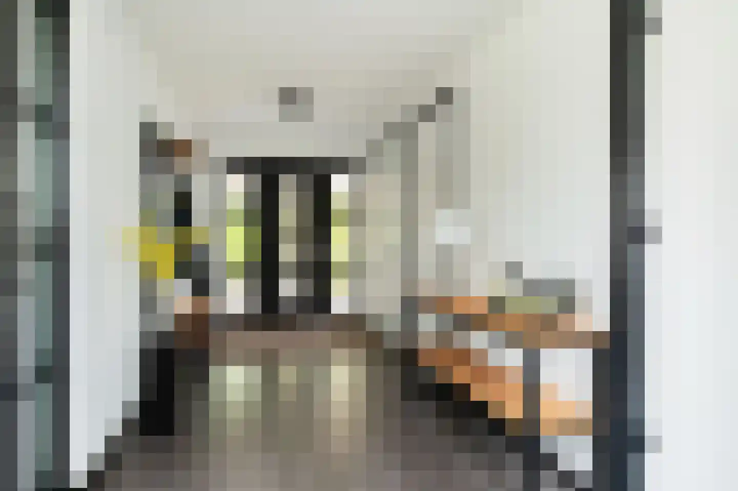 Leeuwerik 13 Blauwestad thumbnail 10