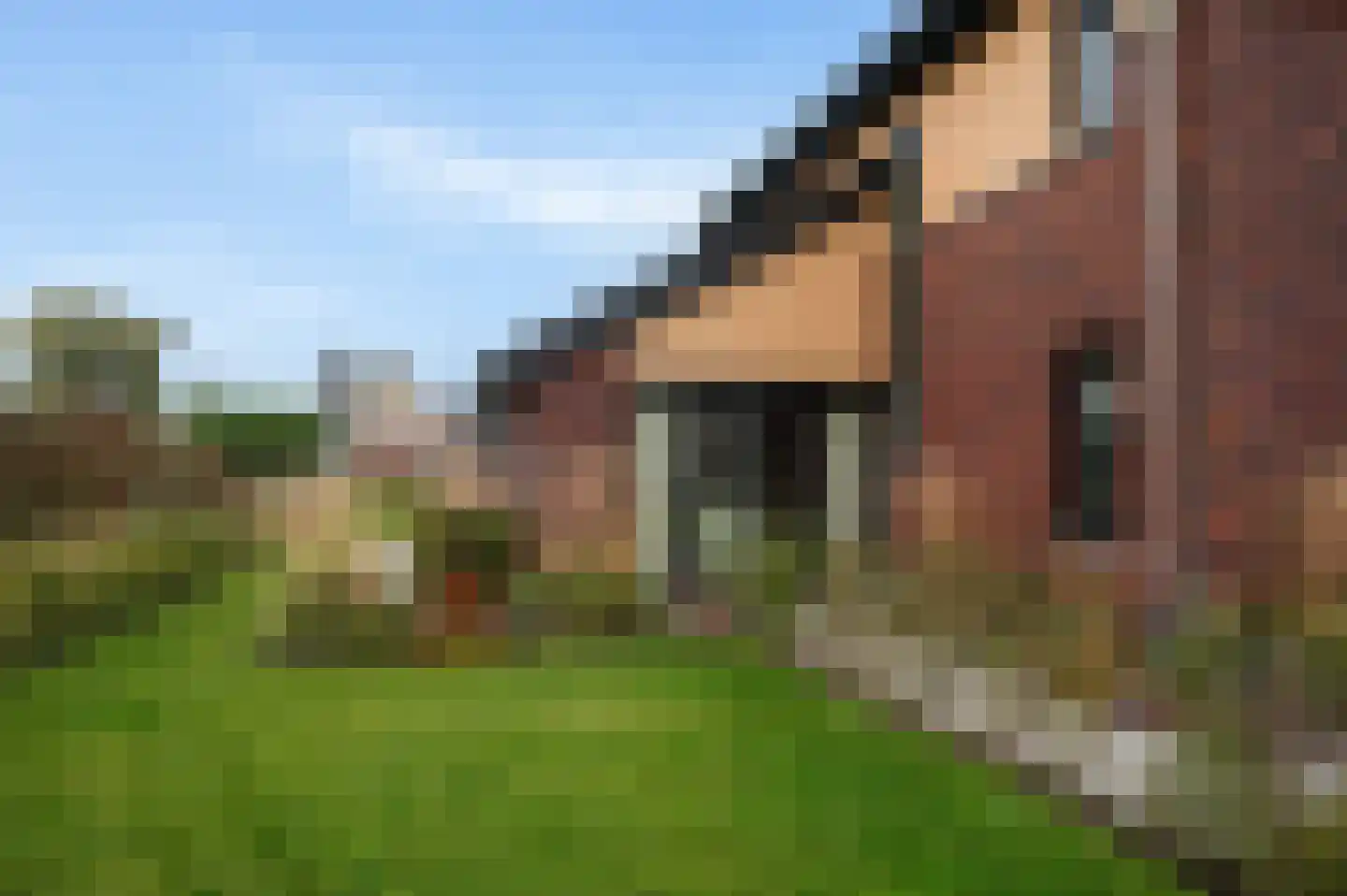 Leeuwerik 13 Blauwestad thumbnail 44