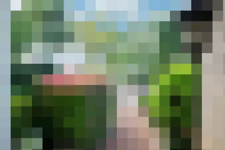 Leeuwerik 13 Genemuiden thumbnail 11