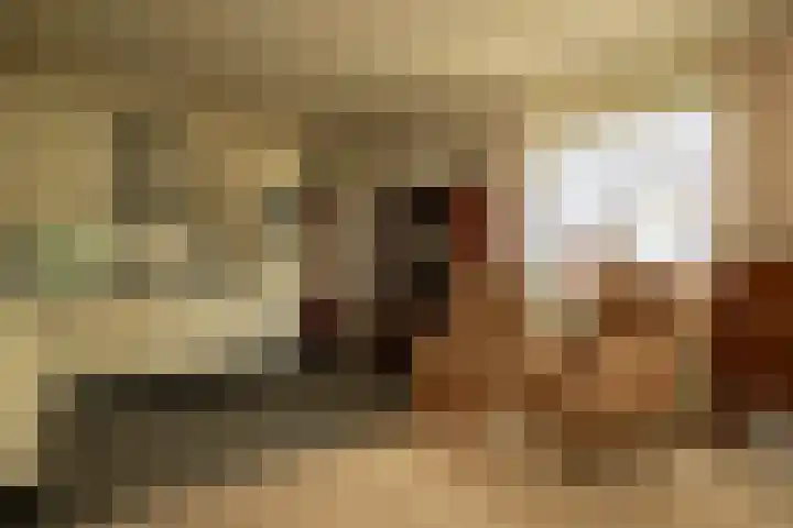Leeuwerik 13 Genemuiden thumbnail 19