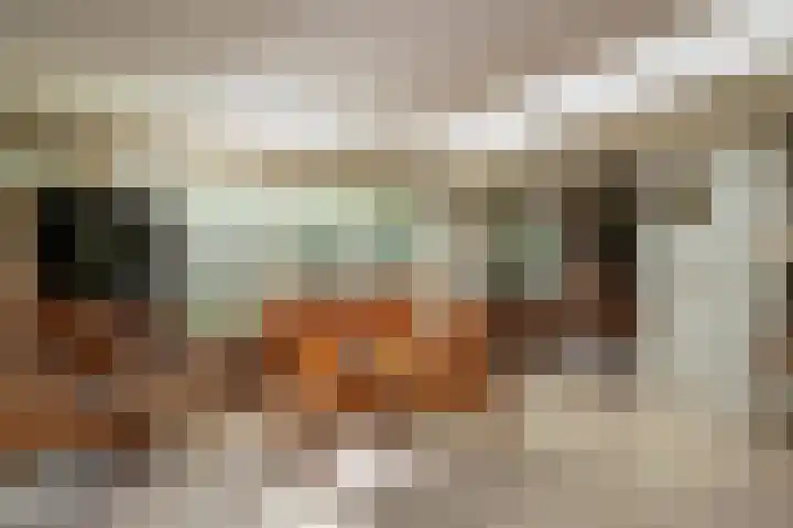 Leeuwerik 13 Genemuiden thumbnail 20