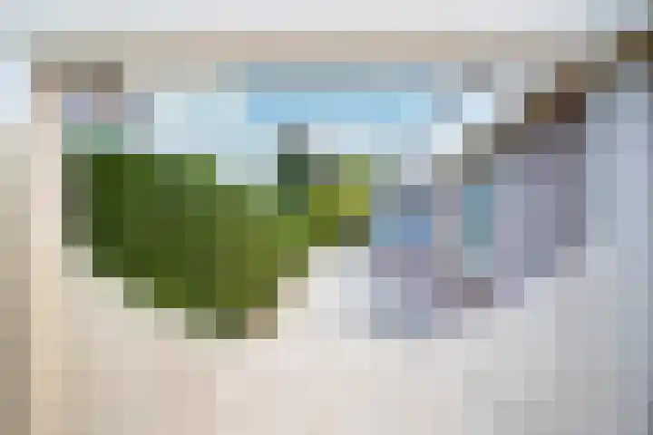 Leeuwerik 13 Genemuiden thumbnail 31
