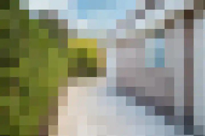 Leeuwerik 13 Genemuiden thumbnail 32