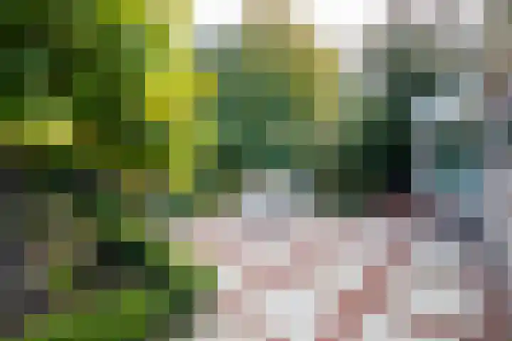 Leeuwerik 13 Genemuiden thumbnail 33