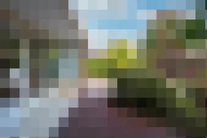 Leeuwerik 13 Genemuiden thumbnail 36