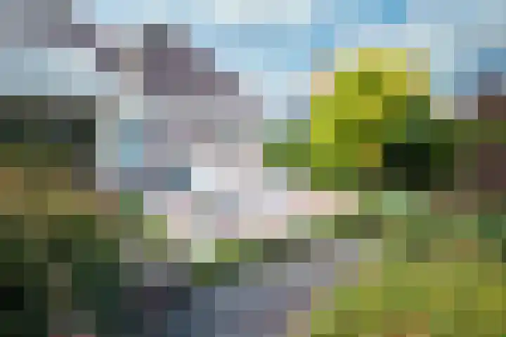 Leeuwerik 13 Genemuiden thumbnail 38
