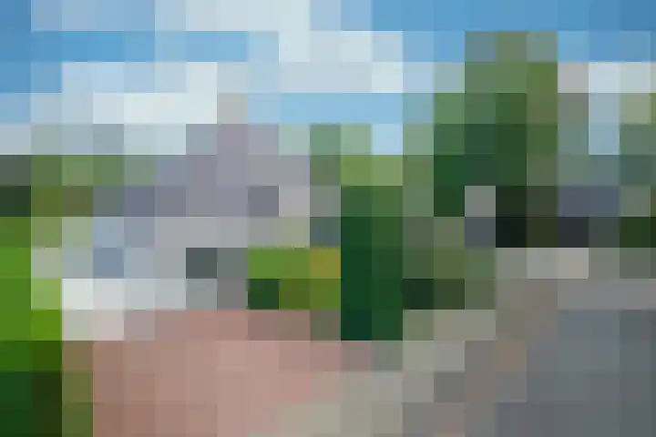Leeuwerik 13 Genemuiden thumbnail 4