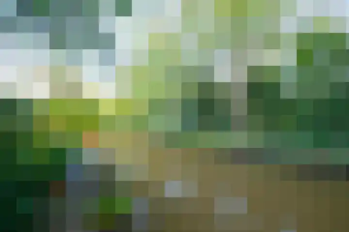 Leeuwerik 13 Genemuiden thumbnail 40