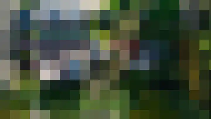 Leeuwerik 13 Genemuiden thumbnail 43