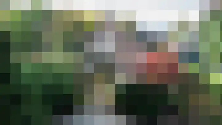 Leeuwerik 13 Genemuiden thumbnail 44
