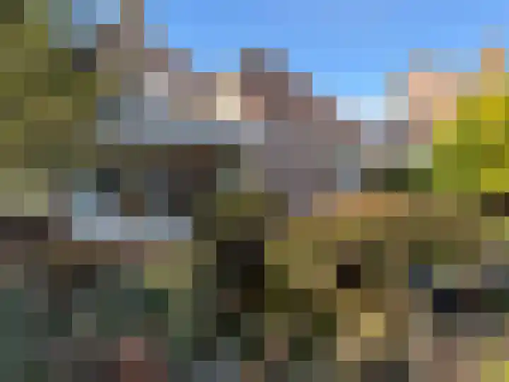 Leeuwerik 13 Genemuiden thumbnail 46