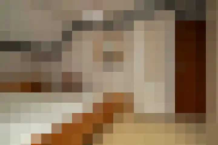 Leeuwerik 13 Genemuiden thumbnail 52