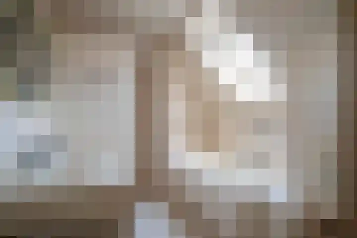 Leeuwerik 13 Genemuiden thumbnail 56