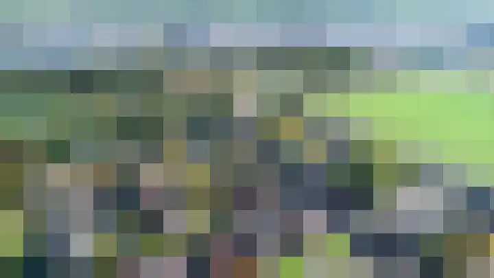 Leeuwerik 13 Genemuiden thumbnail 6