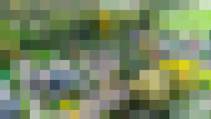 Leeuwerik 13 Genemuiden thumbnail 7