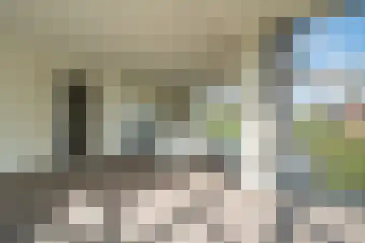 Leeuwerik 15 Blauwestad thumbnail 20