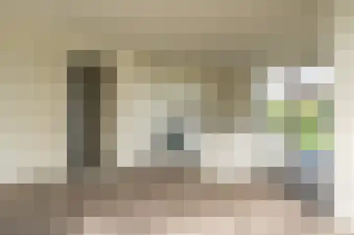 Leeuwerik 15 Blauwestad thumbnail 21