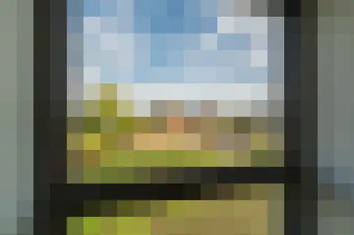Leeuwerik 15 Blauwestad thumbnail 40