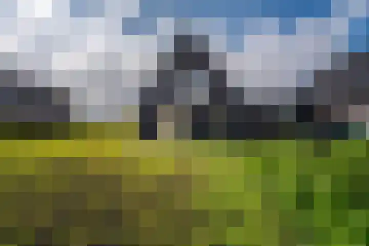 Leeuwerik 15 Blauwestad thumbnail 45