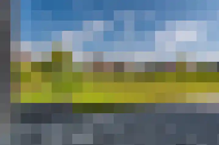 Leeuwerik 15 Blauwestad thumbnail 47