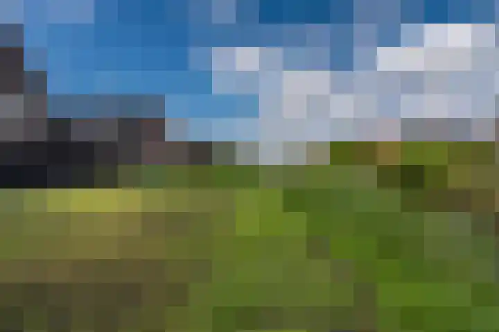 Leeuwerik 15 Blauwestad thumbnail 51