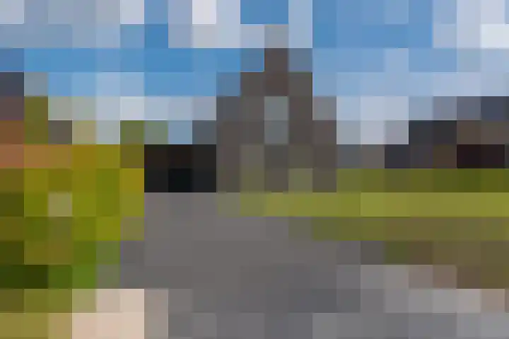 Leeuwerik 15 Blauwestad thumbnail 53