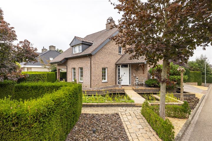 Leeuwerik 2 in Schinveld foto