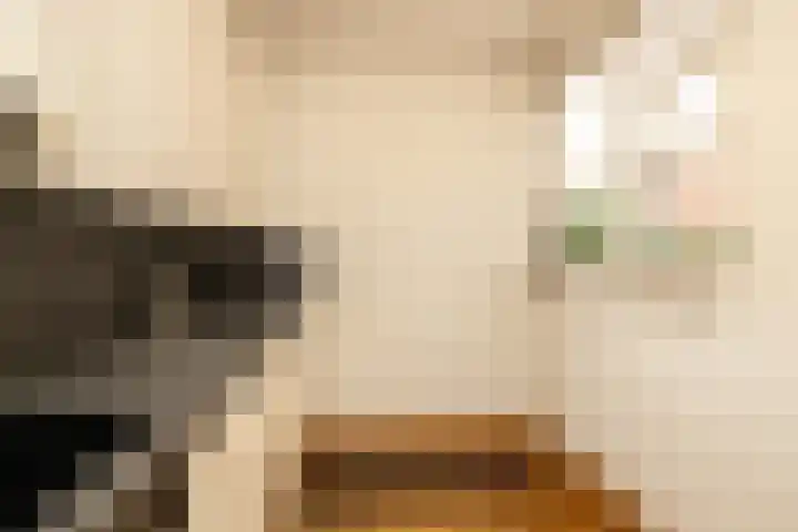Leeuwerik 25 Kwintsheul thumbnail 12
