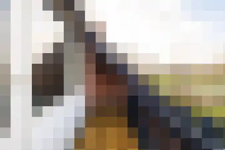 Leeuwerik 25 Kwintsheul thumbnail 18