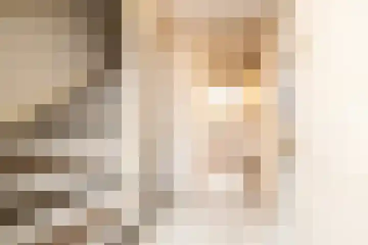 Leeuwerik 25 Kwintsheul thumbnail 23