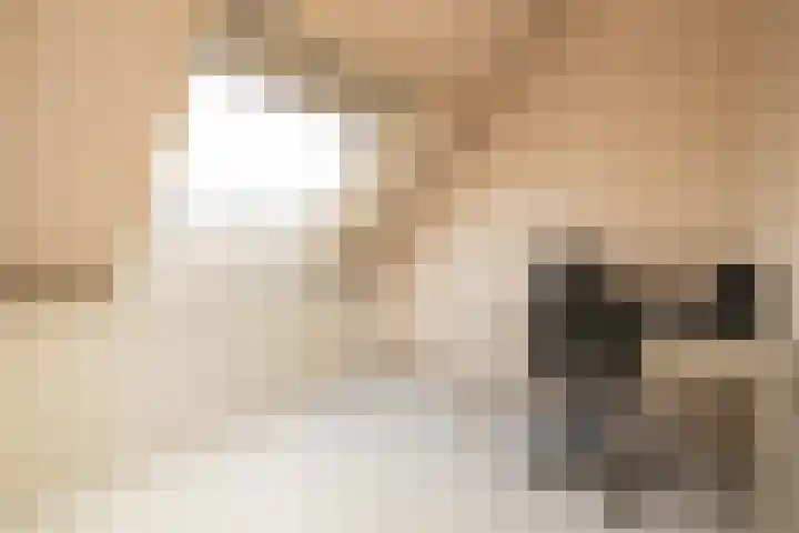 Leeuwerik 25 Kwintsheul thumbnail 25