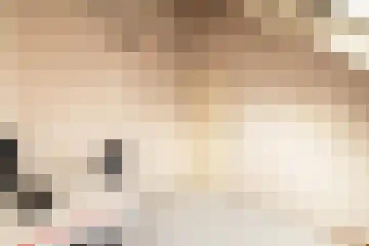 Leeuwerik 25 Kwintsheul thumbnail 27