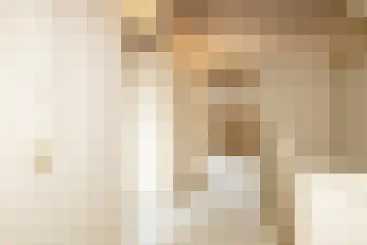 Leeuwerik 25 Kwintsheul thumbnail 29