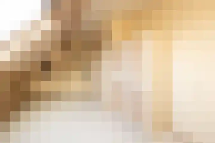 Leeuwerik 25 Kwintsheul thumbnail 30