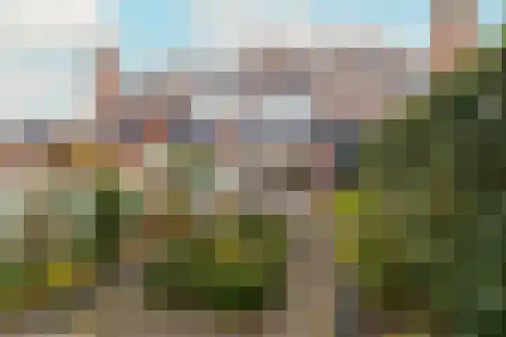 Leeuwerik 25 Kwintsheul thumbnail 33
