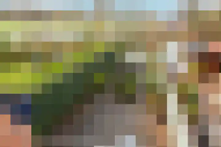 Leeuwerik 25 Kwintsheul thumbnail 37