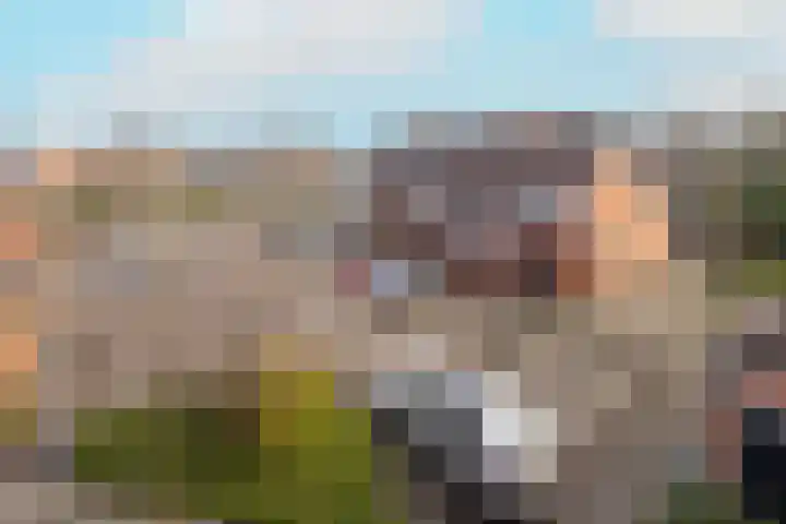Leeuwerik 25 Kwintsheul thumbnail 38