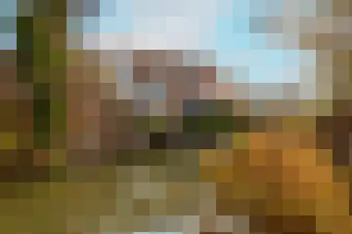 Leeuwerik 25 Kwintsheul thumbnail 39